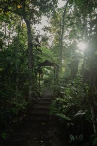 Kawa Munduk Cabins