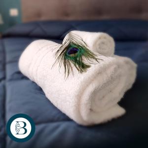 BlueCharme modern apartment img27