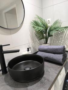 Appartements Appartement avec une chambre et tout equipe dans centre ville : photos des chambres