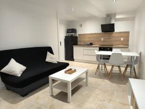 Appartements Appartement avec une chambre et tout equipe dans centre ville : photos des chambres