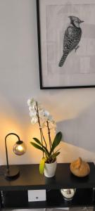 Appartements Appartement sous les remparts : photos des chambres