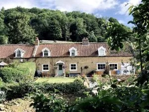Robins Cottage cosy home hot tub quiet village - Hackness