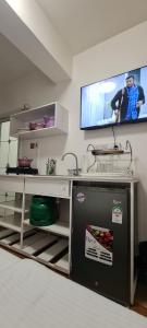 JVstudios-Ndemi garden