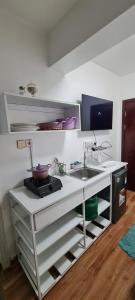 JVstudios-Ndemi garden