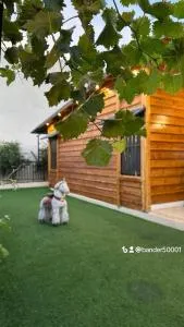 كوخ الوهط الريفي - 阿尔莎法