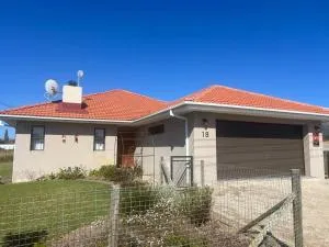 Laid-Back Tortoise - Fisherhaven