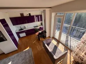 Pine Tops Retreat apartment - Zujūnai