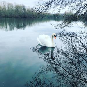 Maisons de vacances Gite de la cote a Autreville sur Moselle : photos des chambres