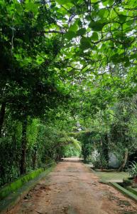 Botanic Hideaway Home, 5km from Mwanza airport