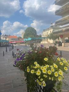 Appartements Close to Paris, for work or family : photos des chambres