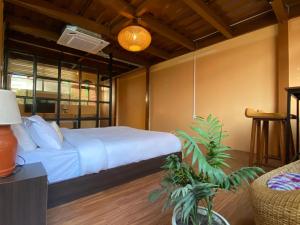 Spacious BOHO Studio Apartment