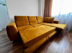 Jungle Home - Gara de Nord