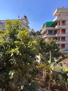 Sunny and quiet stay in Boudha