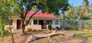 Elephant and Goldie - Mida