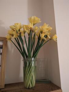 Brynmyrddin country living