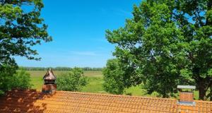 Urlaubsnest Das Künstlerrefugium