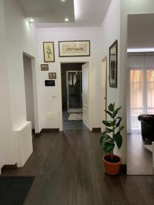 Grazioso appartamento