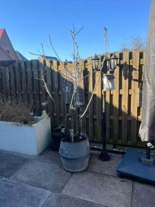 vakantiewoning Terminus