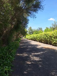 Escape to Tranquility !