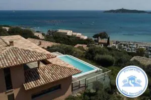 hirondelles - Pinarellu