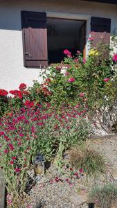 Maisons de vacances Maison, grand jardin, lac 8 min a pied, piste cyclable, 6 couchages : photos des chambres
