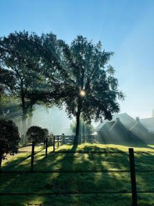 Nature Escape Veluwe Chalet