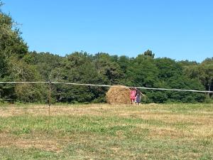 Maisons de vacances Spacious Family Home with Private Pool, Garden and Forest, Dordogne Countryside : photos des chambres