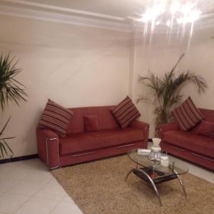 شقق صفوه الجوهره