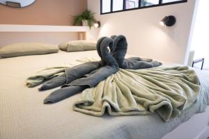 Appartements Troyes - Aux pieds du cube : photos des chambres