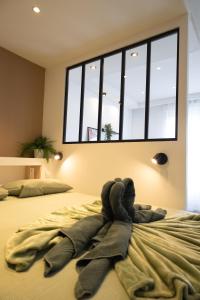 Appartements Troyes - Aux pieds du cube : photos des chambres