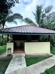 Amadeo Verde - Biluso