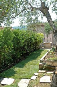 Nonna Afra house on Lucca hills with great view - vetrianello