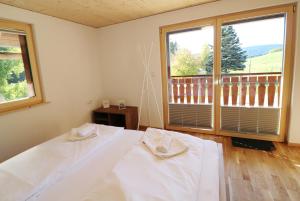 Tannenhof Fischbach - Fewo 6 "Karpfen" - Schluchsee, 2 Schlafzimmer, E-Auto Ladestation