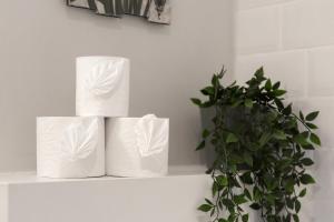 Modern Studio Next to Old Town