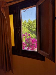 Wanas hostel
