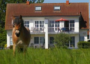 Ferienwohnung Boddenblick