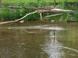 Top floor modern country home