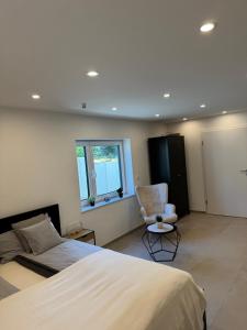 Lion Apartment Gaggenau - Bad Rotenfels