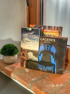 Caleros 8 - Apartamento 1