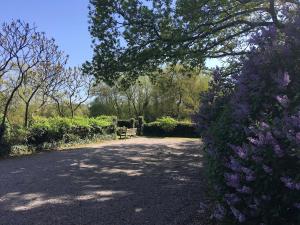 Idyllic Country Cottage South Downs