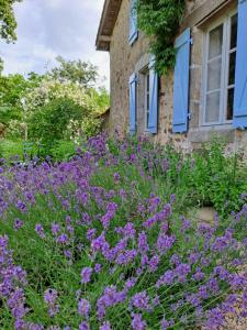 Domaine des Roches Blanches