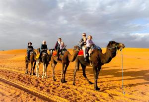 Sahara Garden Camp