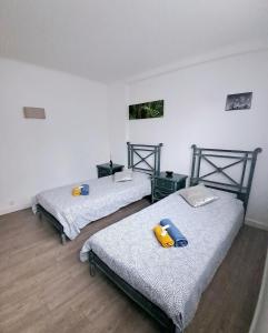 4 - Person Apartment with Sea View terrace