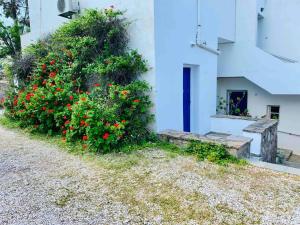 Love Limni No 1 in Peaceful Poseidonia