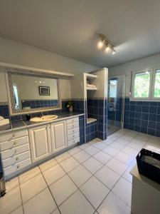 Villa Avignon la barthelasse