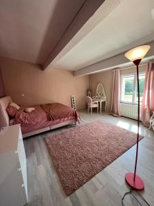 Villa Avignon la barthelasse