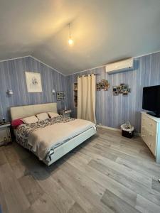 Villa Avignon la barthelasse