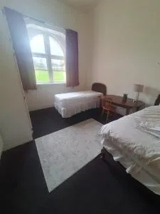 Twin Room at Richmond house Fermoy - 米切尔斯敦