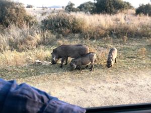Stone cottage in Haarties