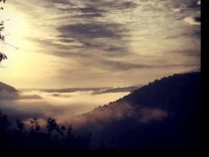 Stone cottage in Haarties